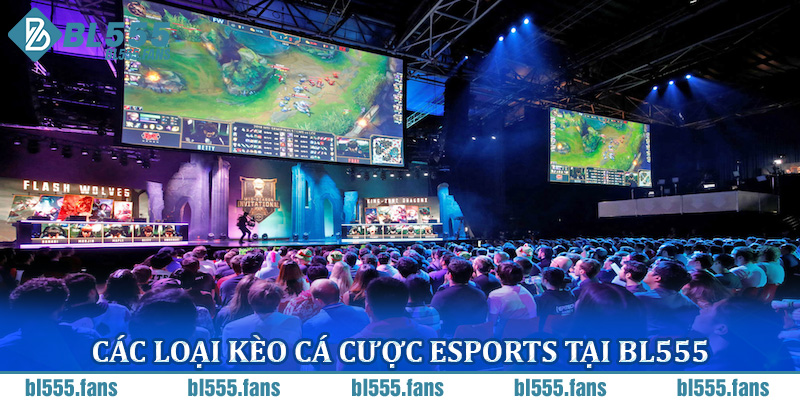 Các loại kèo cá cược Esports tại BL555