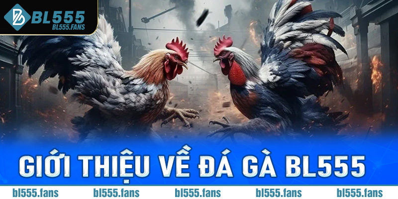 Giới thiệu về đá gà Bl555