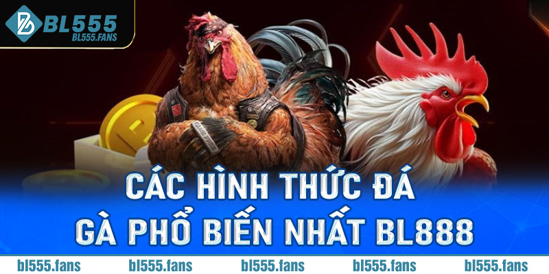 Các hình thức đá gà phổ biến nhất Bl888