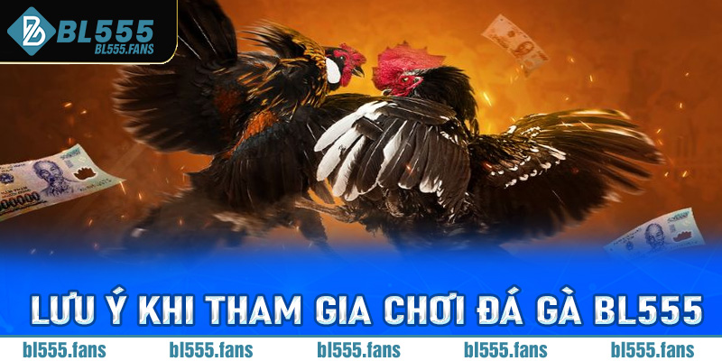 Những lưu ý khi tham gia chơi đá gà Bl555