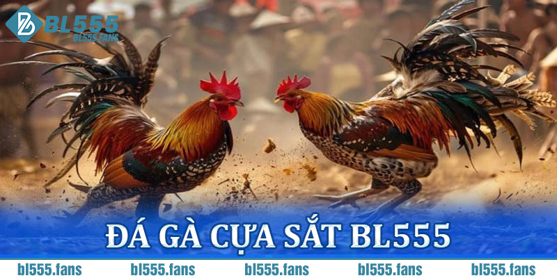 Đá gà cựa sắt
